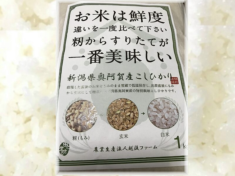 ふるさと納税 南魚沼市 2023年11月発送開始『定期便』特別栽培米南魚沼産こしひかり雪穂精米30kg(5kg×6)全3回 